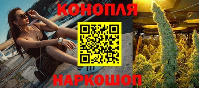 стафф Боровичи