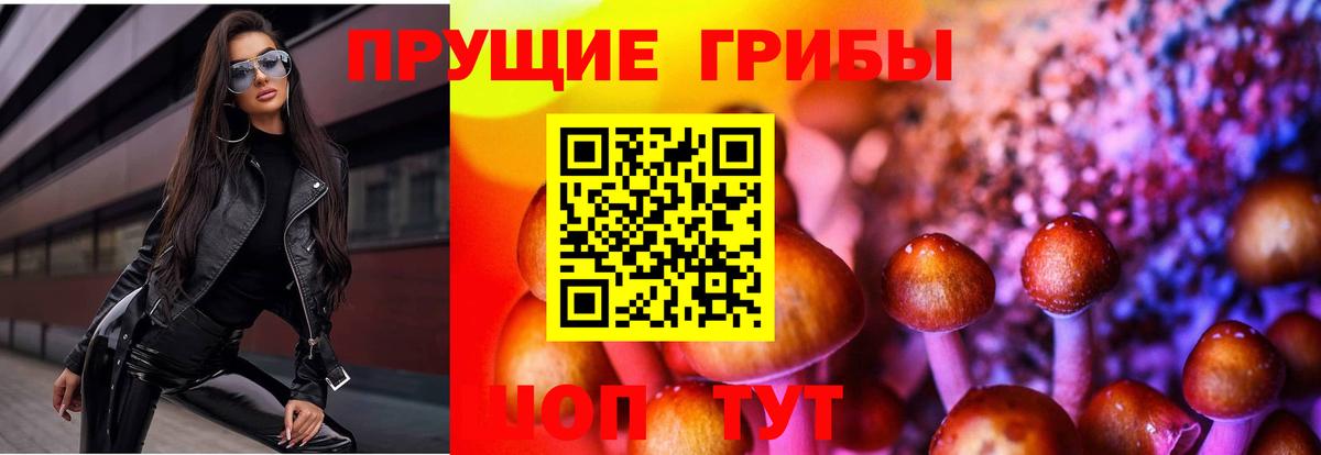 Горячий Ключ  Галлюциногенные грибы Cubensis  Вход с VPN 